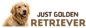 JustGoldenRetriever