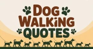 Dog walking quotes inspiration with happy golden retriever on leash during sunrise walk in USA park