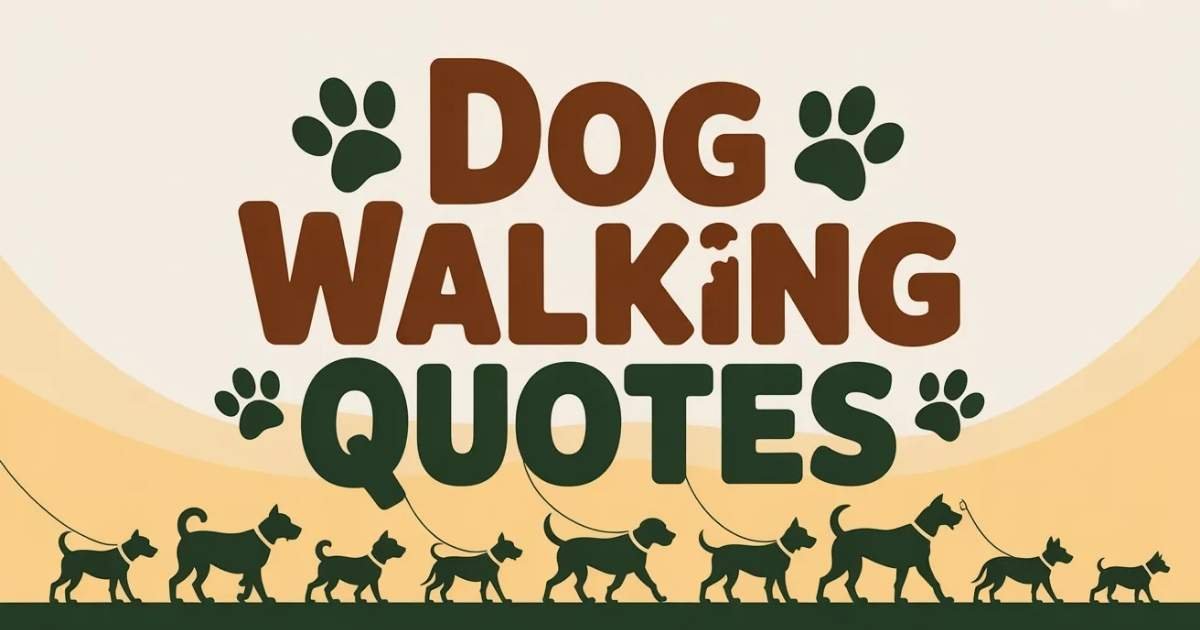 Dog walking quotes inspiration with happy golden retriever on leash during sunrise walk in USA park