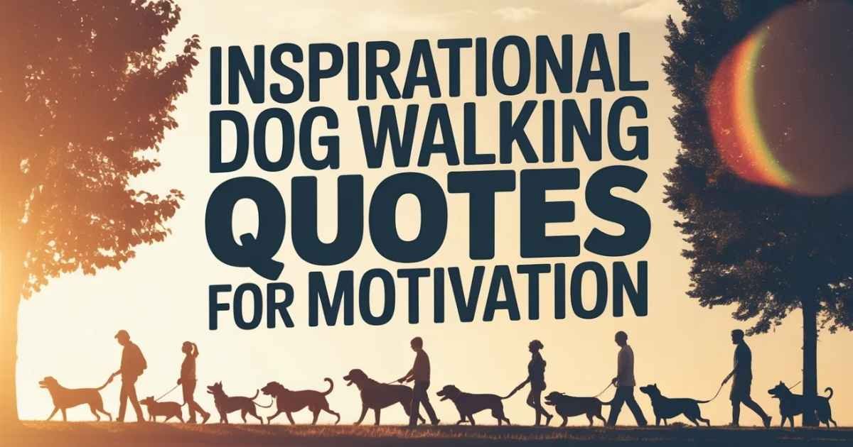 Inspirational dog walking quotes with woman and dog walking at sunrise trail