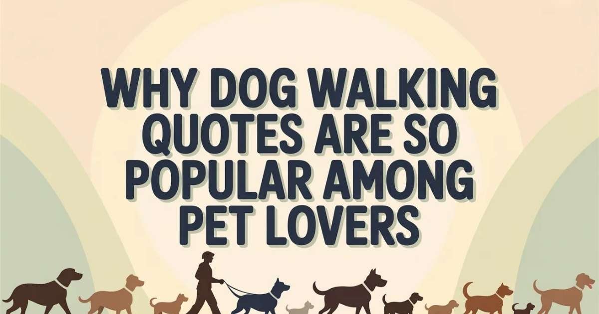 Dog walking quotes popularity shown by smiling dog owner walking in USA neighborhood