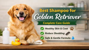 Best Shampoo for Golden Retriever
